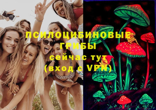 МДПВ Балахна