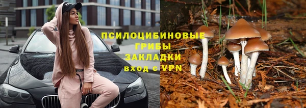 стафф Баксан