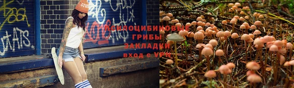 стафф Баксан
