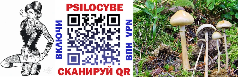 где найти   Демидов  Псилоцибиновые грибы GOLDEN TEACHER 
